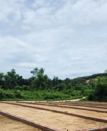 Hoang
