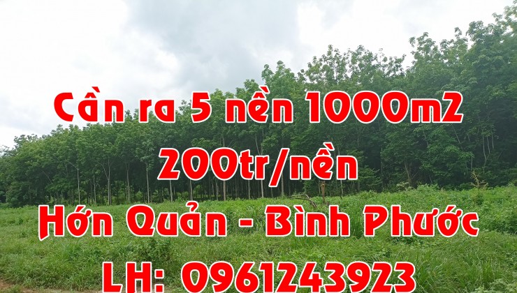 SỈ 5 NỀN 200TR/NỀN/1000M2 TẠI HỚN QUẢN, BÌNH PHƯỚC