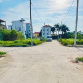 Cần bán lô đất đầu gia Ngài Dương mới, Đình Dù, Văn lâm, Hưng Yên