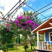 Bán nhà sân vườn tại Tà Nung Đà Lạt 2000m2 chỉ 12 tỷ