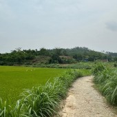 bán đất 8000m2 Xã Đồng Tĩnh, Tam Dương