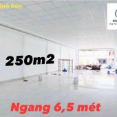 Cho Thuê Mặt Bằng Bến Nghé Siêu Đẹp, 250m2, ngang 6m5