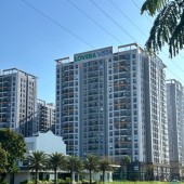 bán nhà gấp xã phong phú, bình chánh 100m2, giả chỉ 15 tỷ