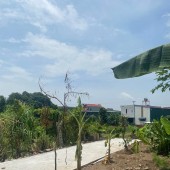 Bán đất biệt thự lô góc khu Đấu giá Xuân Ổ B - Làn 2 Quốc Lộ 1A