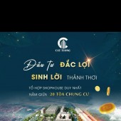 DỰ ÁN ĐANG ĐƯỢC NHIỀU NGƯỜI QUAN TÂM NHẤT LÚC NÀY SHOPHOUES 6 TẦNG 1 TUM  GIÁ CDT CHỈ TỪ 4,9 TỶ . VÀ 20 TÒA CHUNG CƯ GIÁ CHỈ TỪ 700TR