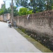 Bán đất đông sơn chương mỹ 600m2 đất 2 mặt tiền 15 triệu/m2 ô tô
