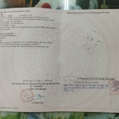 Cần bán mảnh đất Đội 7 thôn Nỏ Bạn - Vân Tảo - Thường Tín - Hà Nội.