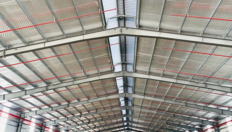 Bán nhà xưởng Phan Văn Hớn full 1000m2 thổ cư 20x50m chỉ 51 tỷ Phường Tân Thới Nhất, Quận 12