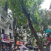 bán nhà  mặt phố Hàng Chiếu, 120m, mặt tiền rộng, vỉa hè, kinh doanh ngày đêm