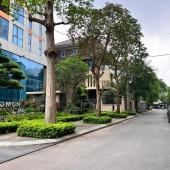 Gia đình chuyển trường cho cháu bán căn nhà phân lô, ô tô phố Vĩnh Phúc- Ba Đình, Hà Nội