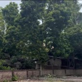 Bán mảnh đất Trung Tâm Thường Tín, lô góc, Ô TÔ vào, cơ hội đầu tư, giáp Thanh Trì, giải rẻ chỉ 2.x tỷ