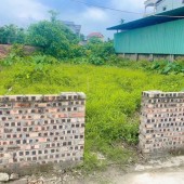 Chính chủ cần thanh khoản gấp lô đất 94m2 bìa làng thố bảo vân nội. Giá siêu đầu tư cho anh chị