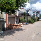 Bán Biệt Thư Phố Cổ Sân Vườn 116m x 4 Tầng Mt 5.8m Giá 32 Tỷ.
