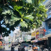 Mặt Tiền Kinh Doanh Đặng Chất Quận 8 Phường 2.
