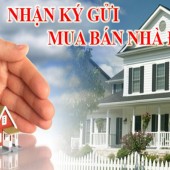 Nhận ký gửi bất động sản căn hộ tại khu vực Đà Nẵng