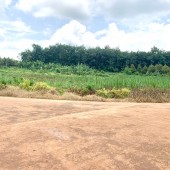 Cần sang lại góc 2 MT 1680m2 nở hậu giá 260tr (giá hết đất) SHR kế bên KCN hiện hữu