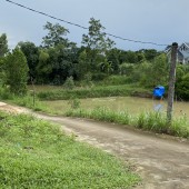 Bán đất Sóc Sơn, 247m, mặt tiền thênh thang, ô tô vèo vèo - THÙY SÓC SƠN