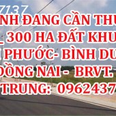 MÌNH ĐANG CẦN THUÊ 200_ 300 HA ĐẤT KHU VỰC  BÌNH PHƯỚC - BÌNH DƯƠNG - ĐỒNG NAI, BRVT.