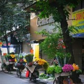 Hàng Thùng 7 Tầng Thang Máy 70M2 MT 4.2M 55 Tỷ