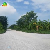 Bán lô LK 245mv Tôn Đức Thắng (Quảng Trường IQ)  Ninh Khánh