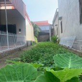 Bán đất Trung hậu đoài mê linh hà nội