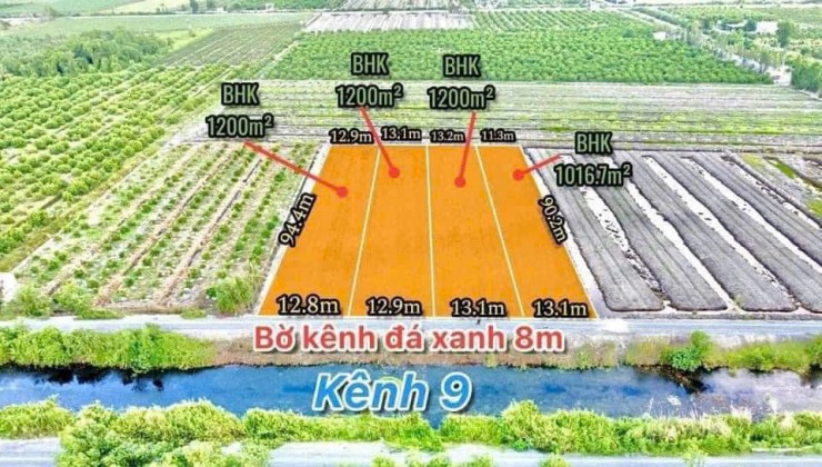 Bán Gấp  2 Lô đất  ở ấp 3 Tân Thành, HuyệnThủ Thừa, Long An