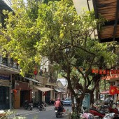 Mặt Phố Nguyễn Khắc Nhu 70M2 Mặt Tiền 4.5M 38 Tỷ Lô Góc