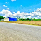 Bán gấp 4 sổ (20,74x68=1.515m2) SHR, Thổ cư, mặt tiền KD, đối diện xí nghiệp lớn chỉ 560tr/sổ