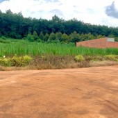 Bán 2 sổ (10x46=462m2) sát vách KCN, Góc Ngã 3, dân đông, gần thị trấn, Cụm KDC, Trường Học
