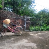 Cần bán mảnh đất 500m Trung Tâm Bạch Hạ Phú xuyên, ô tô vào giá 8tr/m2