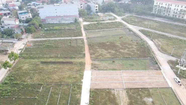 Bán gấp lô đất 113,3m2 cách chợ Hòa Lạc Thạch Thất có 200m