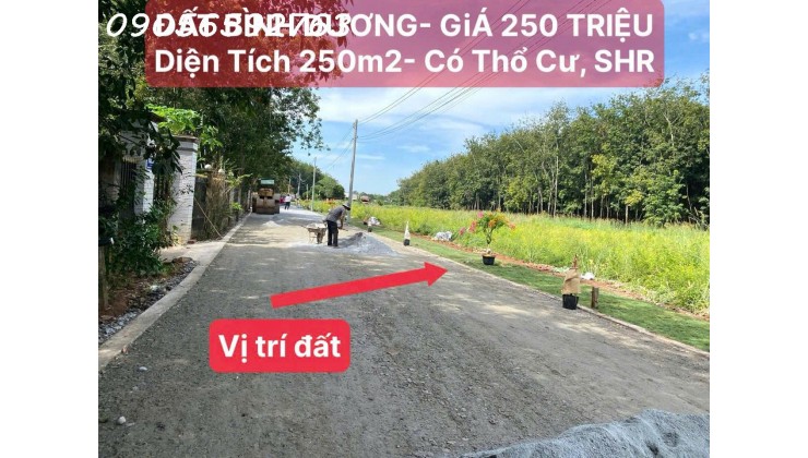 BÁN GẤP ĐẤT TÂN LONG - PHÚ GIÁO - BÀU BÀNG -  300Triệu - Công chứng ngay