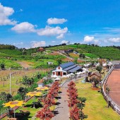 Chính Chủ Sang Gấp Đất Sun Valley – Giá Tốt Nhất Chỉ 13 Triệu/m²