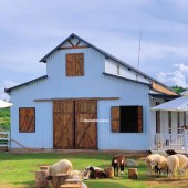 Bảo Lộc Sun Valley – Sống Xanh, Đầu Tư Vàng