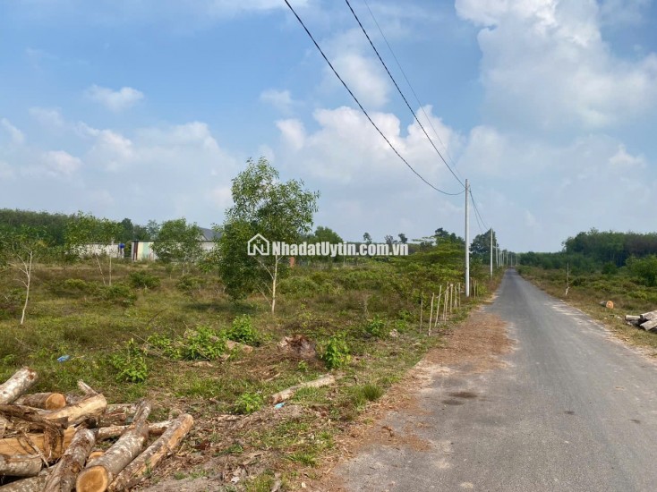BÁN NHANH lô đất 268 mặt tiền nhựa 5m Thị trấn Long Hòa Dầu Tiếng