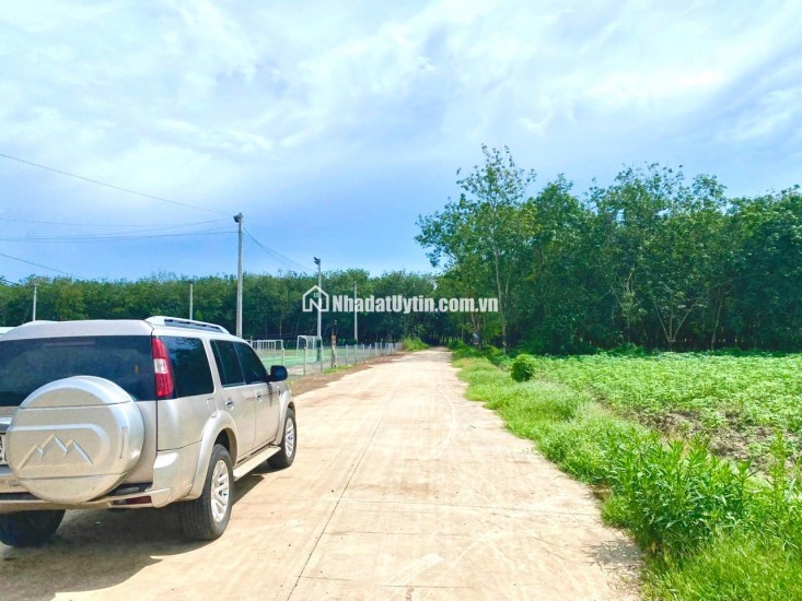 Bán gấp 15.000m2 đất ở thị trấn Tân Châu Tây Ninh có sân banh, pickerball