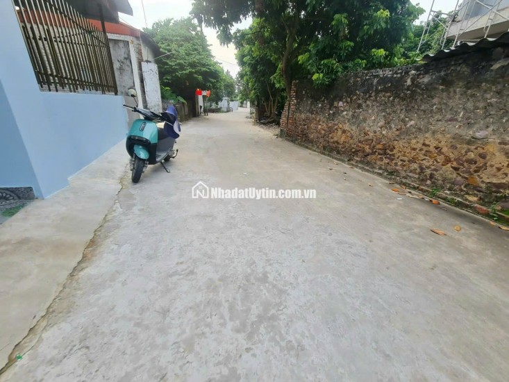 MUA ĐẤT TẶNG NHÀ NGAY - Thị Trấn Nham Biền, Tp Bắc Giang