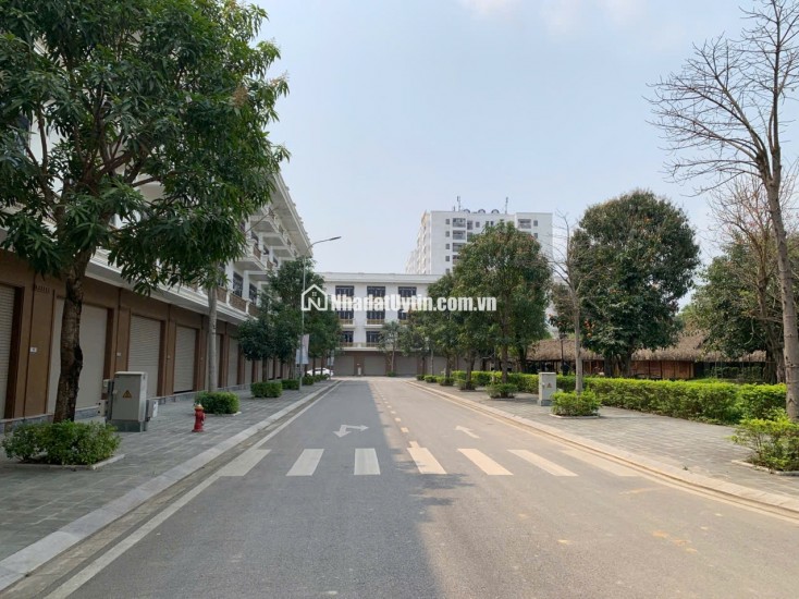 Bán nhà liền kề 4 tầng khu đô thị Xuân Hưng Đại Lộ Cesp Thành Phố Thanh Hóa