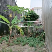Bán đất 70m2 HXT 6m, Phú Hữu, Thủ Đức - 3.5 tỷ