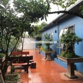Cho thuê nhà vườn tại Đông La 520m2. 3PN, full đồ cao cấp, 15tr/tháng, gần Tố Hữu, gần công viên