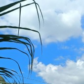 Nhà phố mặt tiền tại Cần Giuộc, Long An – Pháp lý rõ ràng
