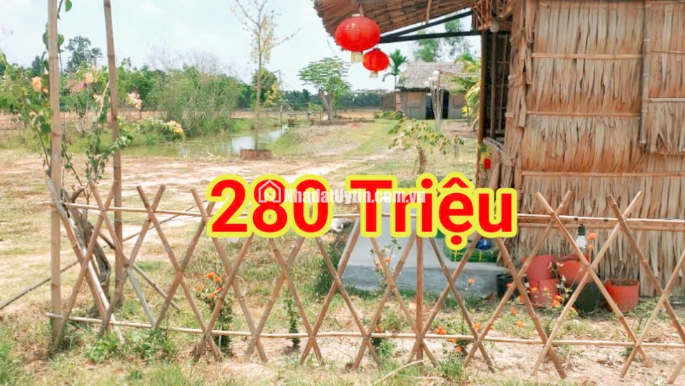280 Triệu sang Tên 1000m2 có Thổ Cư, Gần DT 818, mỗi tháng trả thêm 3 triệu