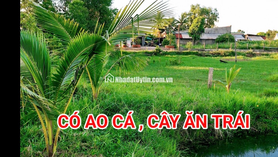 280 Triệu sang Tên 1000m2 có Thổ Cư, Gần DT 818, mỗi tháng trả thêm 3 triệu