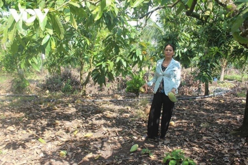 Cần tiền,bán đất