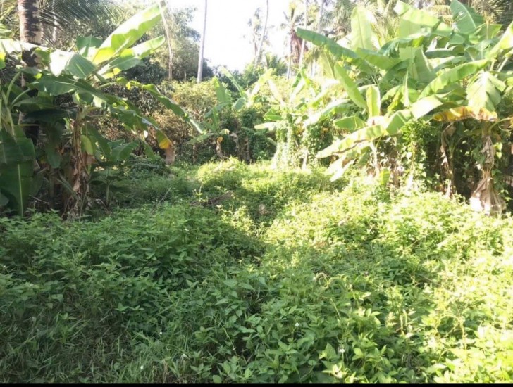 Cần tiền,bán đất