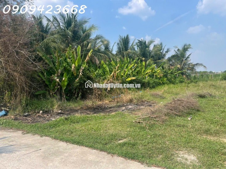 BÁN GẤP ĐẤT FULL THỔ 355M² – XÃ ĐỨC LẬP THƯỢNG – GIÁ CHỈ 1 TỶ 950 TRIỆU