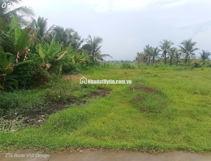 BÁN GẤP ĐẤT FULL THỔ 355M² – XÃ ĐỨC LẬP THƯỢNG – GIÁ CHỈ 1 TỶ 950 TRIỆU