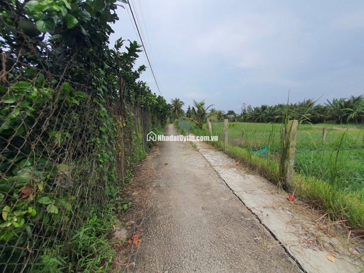 Đất 6x30m ĐH89 vô 50m Giá 3xx triệu