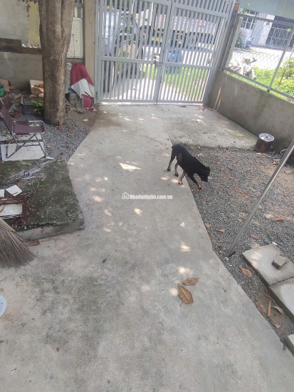 CHÍNH CHỦ BÁN GẤP  3,6 TỶ MUA ĐẤT TẶNG NHÀ CẤP 4  NGAY TRUNG TÂM BÌNH NHÂM, THUẬN AN