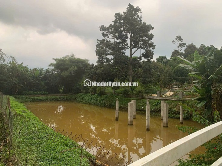 - Bán Lô Đất Nghỉ Dưỡng Đẹp Như Tranh Tại Lộc An – View Hồ – Có Sẵn Nhà, Vườn Trái Cây
